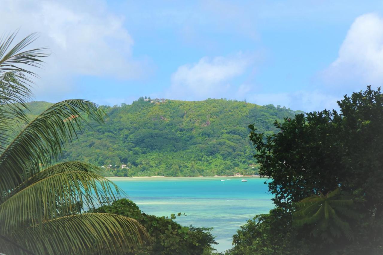 Seychelles Yellow Petals Anse Boileau エクステリア 写真
