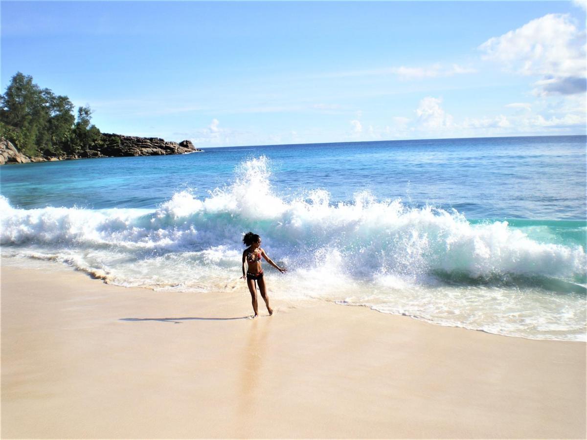 Seychelles Yellow Petals Anse Boileau エクステリア 写真