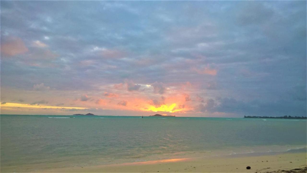 Seychelles Yellow Petals Anse Boileau エクステリア 写真