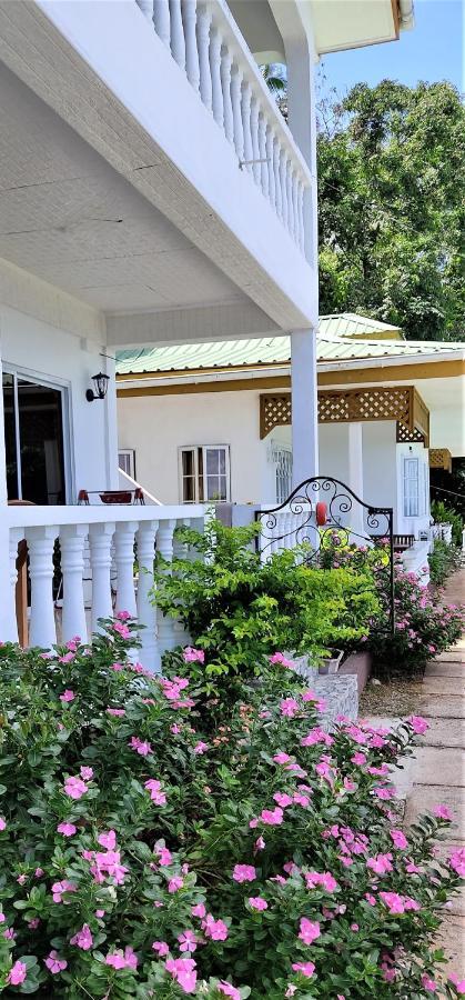 Seychelles Yellow Petals Anse Boileau エクステリア 写真