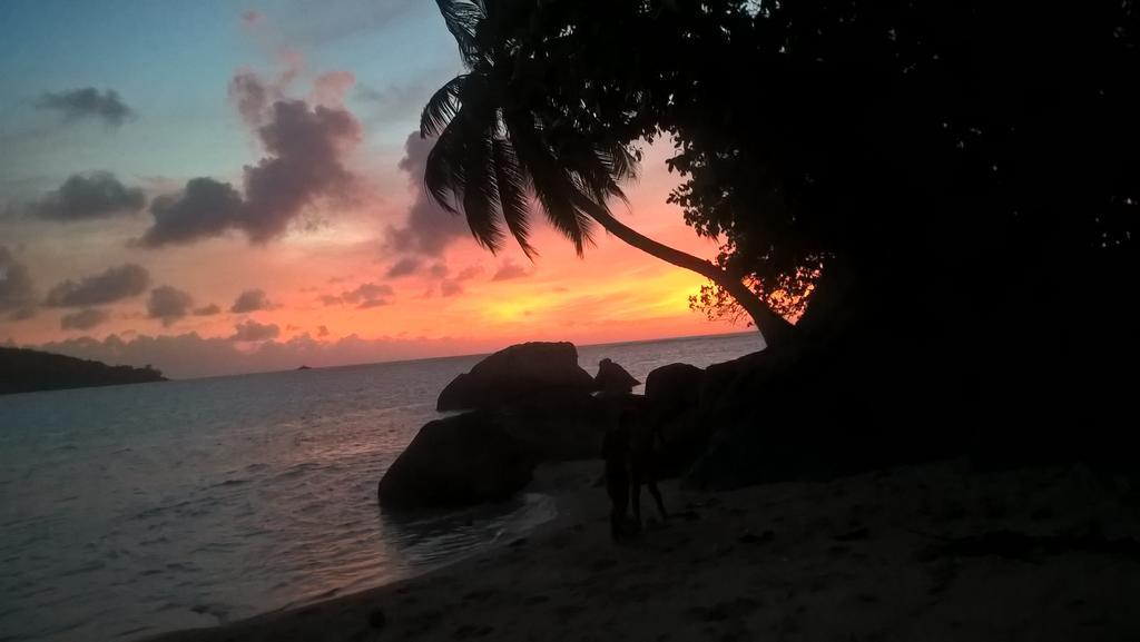 Seychelles Yellow Petals Anse Boileau エクステリア 写真