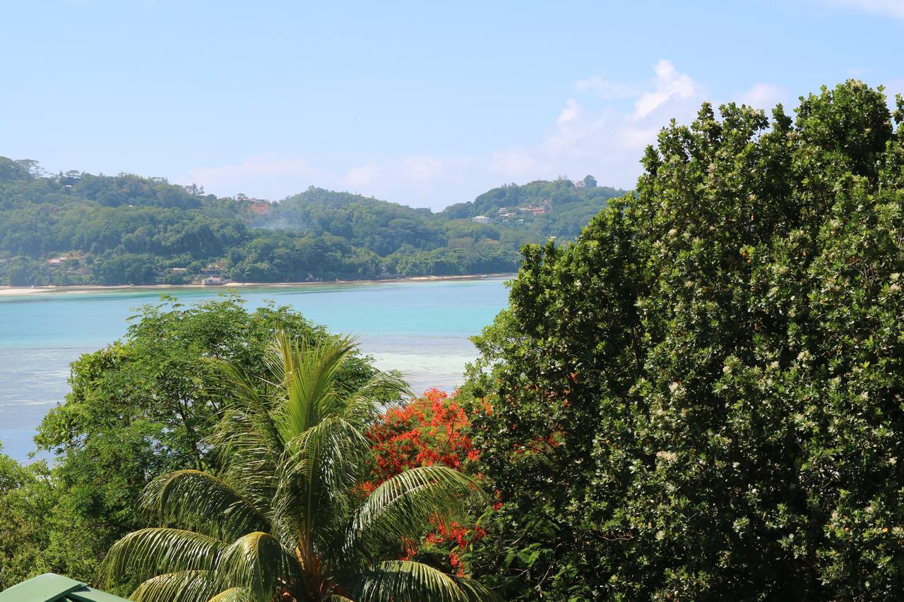 Seychelles Yellow Petals Anse Boileau エクステリア 写真